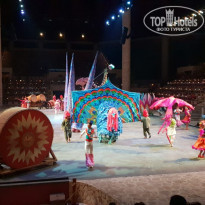 фото из отзыва ID 1913504