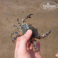 фото из отзыва ID 1914926