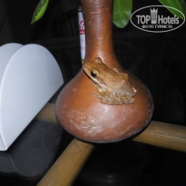 фото из отзыва ID 1914926