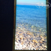 фото из отзыва ID 1915060