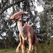 фото из отзыва ID 1915092