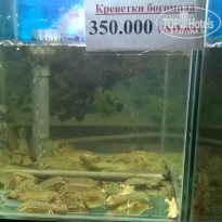 фото из отзыва ID 1915233