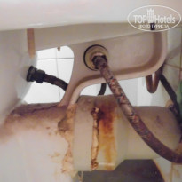 фото из отзыва ID 1913785