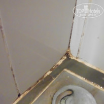 фото из отзыва ID 1913785