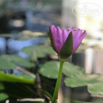 фото из отзыва ID 1915005