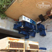 фото из отзыва ID 1915347