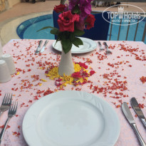 фото из отзыва ID 1915356