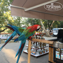 фото из отзыва ID 1915356