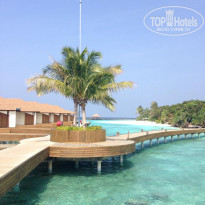 фото из отзыва ID 1915439