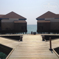 фото из отзыва ID 1915439