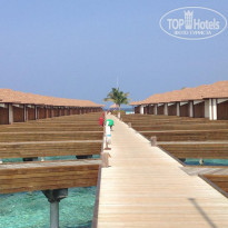 фото из отзыва ID 1915439