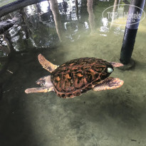 фото из отзыва ID 1915505