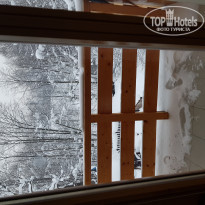 фото из отзыва ID 1915486