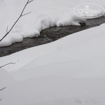 фото из отзыва ID 1915486