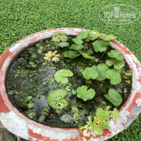 фото из отзыва ID 1915542