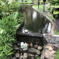 фото из отзыва ID 1915542