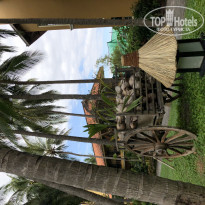 фото из отзыва ID 1915542