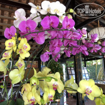 фото из отзыва ID 1915542