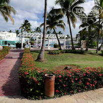 фото из отзыва ID 1915589