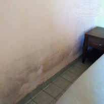 фото из отзыва ID 1915612