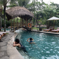 фото из отзыва ID 1915681