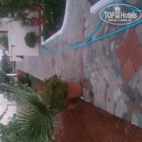 фото из отзыва ID 1915683