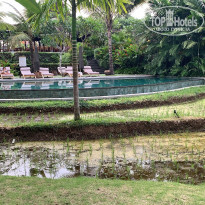 фото из отзыва ID 1915681