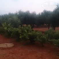 фото из отзыва ID 1915683