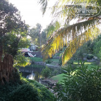 фото из отзыва ID 1915711