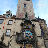 фото из отзыва ID 1915682