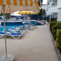 фото из отзыва ID 1915747