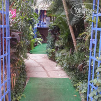 фото из отзыва ID 1915843