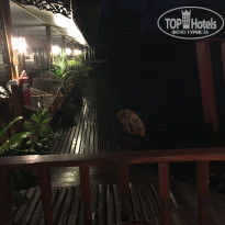 фото из отзыва ID 1915855