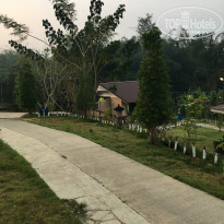 фото из отзыва ID 1915855