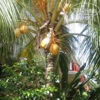 фото из отзыва ID 1915932