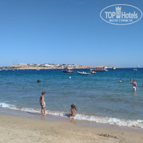 фото из отзыва ID 1915956