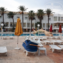 фото из отзыва ID 1916008