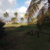 фото из отзыва ID 1916040