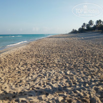 фото из отзыва ID 1916040