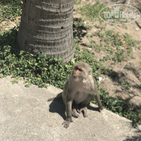 фото из отзыва ID 1914753