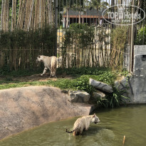 фото из отзыва ID 1914753