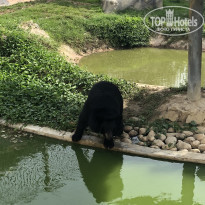 фото из отзыва ID 1914753