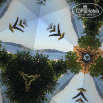 фото из отзыва ID 1916240