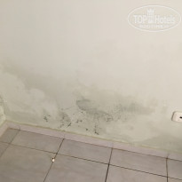 фото из отзыва ID 1916396