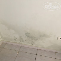 фото из отзыва ID 1916396