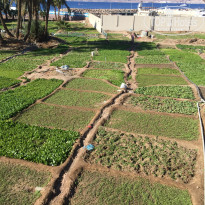 фото из отзыва ID 1916508