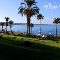 фото из отзыва ID 1916581