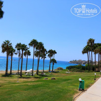 фото из отзыва ID 1916581