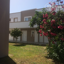 фото из отзыва ID 1916668