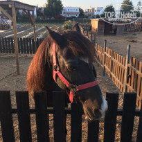 фото из отзыва ID 1916668